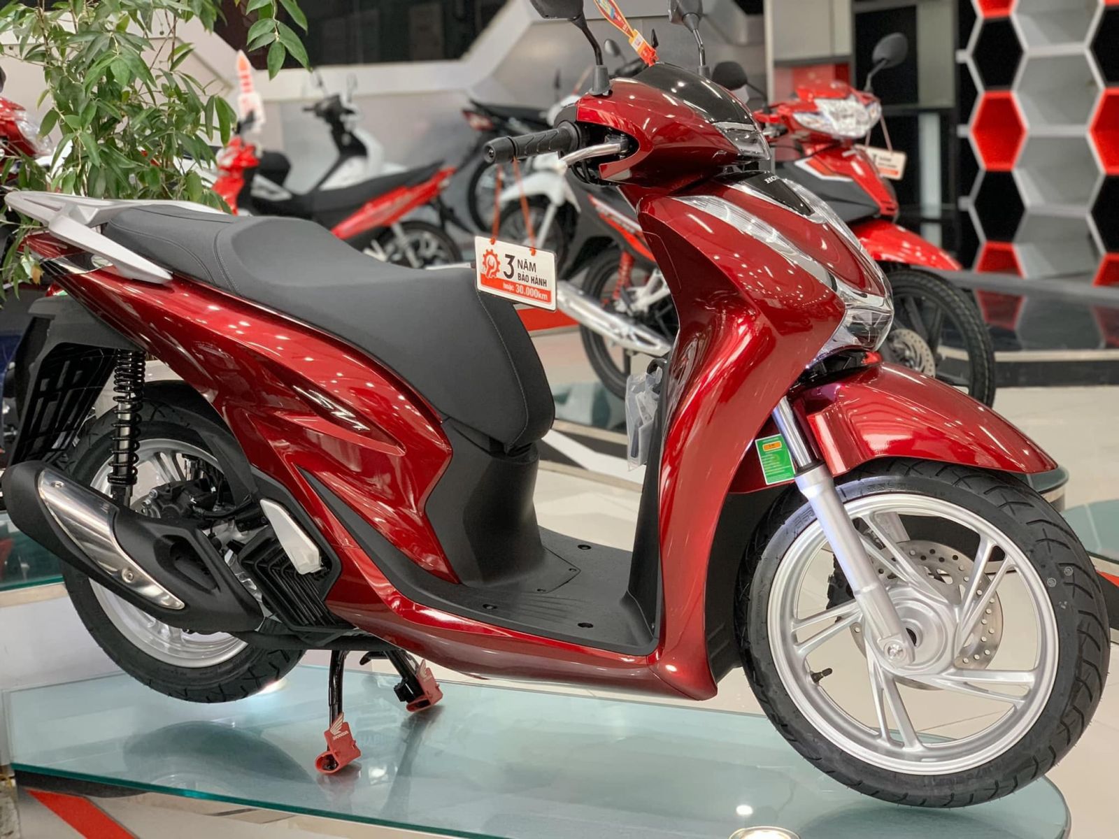 Top 7 Cửa hàng bán xe máy uy tín nhất TP Vinh Nghệ An  Toplistvn