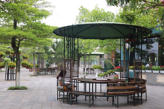Cà phê Xanh